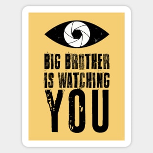 Big brother is watching you Sticker